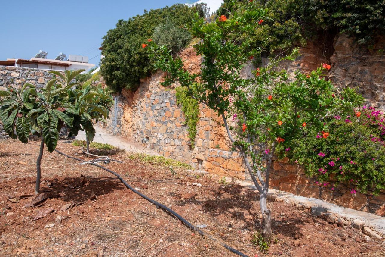 Miracle View Villas Ayos Nikolaos Dış mekan fotoğraf