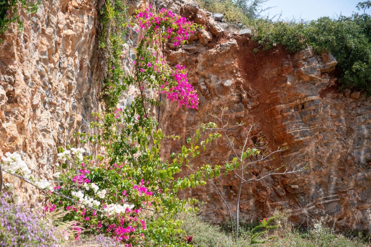Miracle View Villas Ayos Nikolaos Dış mekan fotoğraf