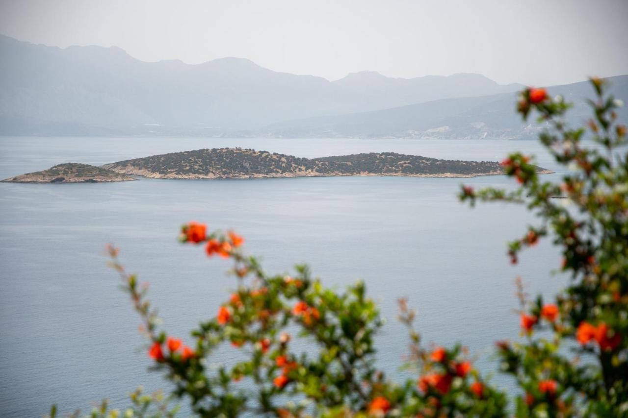 Miracle View Villas Ayos Nikolaos Dış mekan fotoğraf