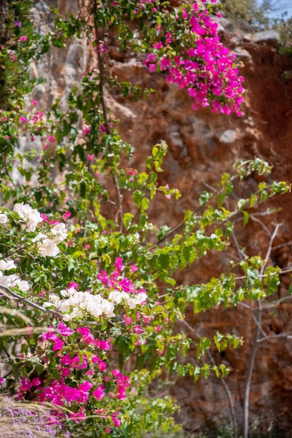 Miracle View Villas Ayos Nikolaos Dış mekan fotoğraf